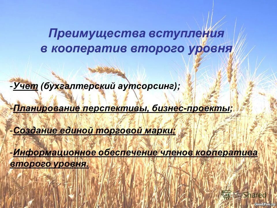 сельскохозяйственный кредитный потребительский кооператив. сельскохозяйственный кооператив презентация. сельскохозяйственный кооператив. сельскохозяйственная кооперация. виды сельскохозяйственных кооперативов.