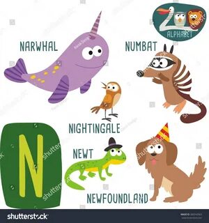 I m animal