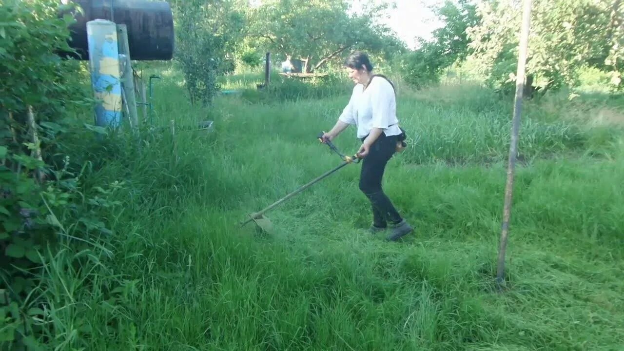 Можно ли косить триммером после дождя мокрую. Женщина косит траву. коса траву косить электричества. триммер легкий для женщины косить траву. косить траву триммером на сено.
