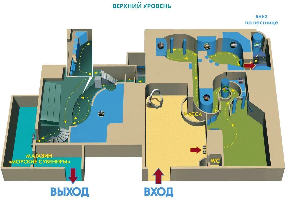 Океанариум схема. Схема океанариума. План океанариума. Океанариум СПБ план. План океанариума Нептун.