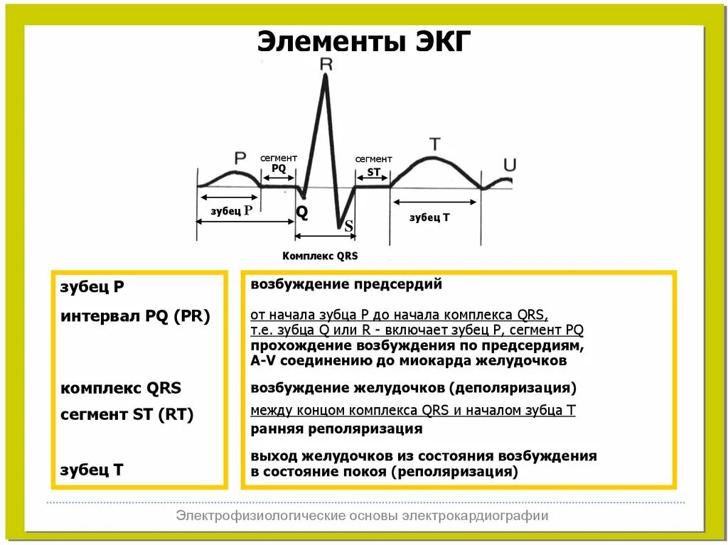 Интервал и сегмент экг. Основные зубцы, сегменты и интервалы экг.. элементы нормальной экг зубцы сегменты интервалы. комплекс qrs на экг сегмент st. электрокардиограмма зубцы сегменты интервалы.