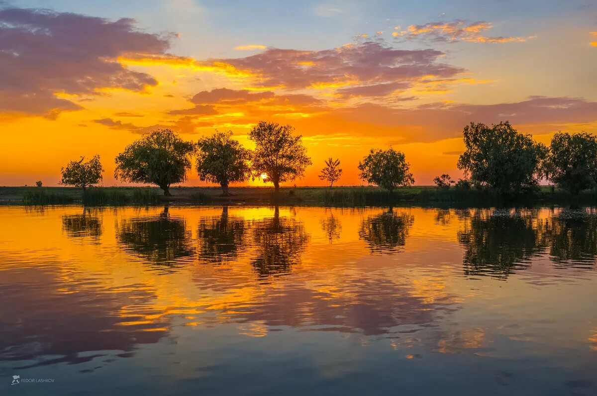 Астрахань волга река рыбалка. Река ахтуба астраханская область. Волга волга астрахань. Река волга в астрахани берег. Река ашулук астраханская область рыбалка.