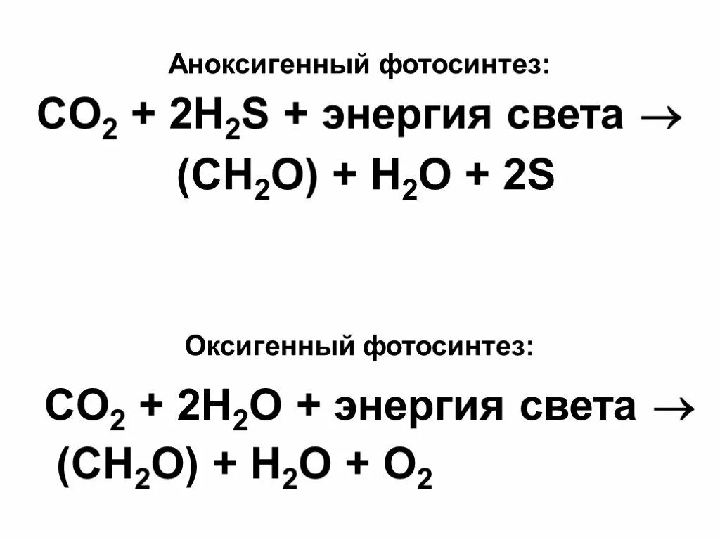 Co2 h2o фотосинтез. Оксигенный и Аноксигенный фотосинтез. Аноксигенный фотосинтез. Аноксигенный циклический фотосинтез. Бескислородный фотосинтез схема.
