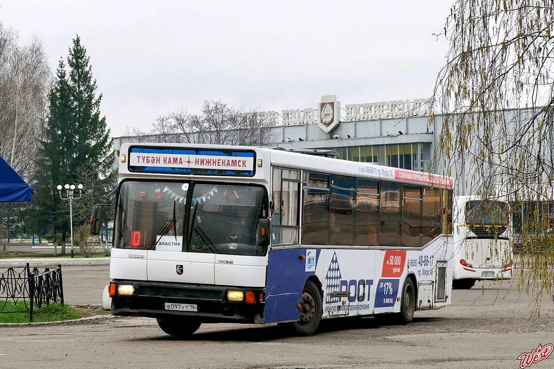 Автобусы Нижнекамск. Автовокзал Нижнекамск. Нижнекамск общественный транспорт. Автобус Нижнекамск Уфа.