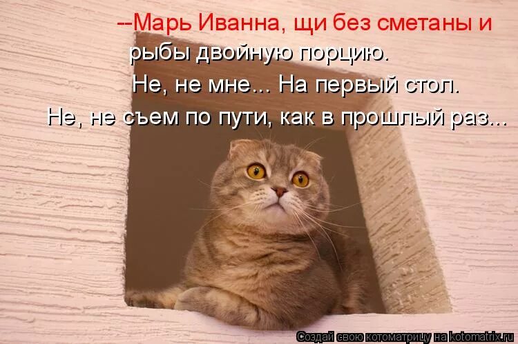 Обои положь на место. Как правильно говорить положи или клади. Положь или положи. Класть и положить. Положь или положи.