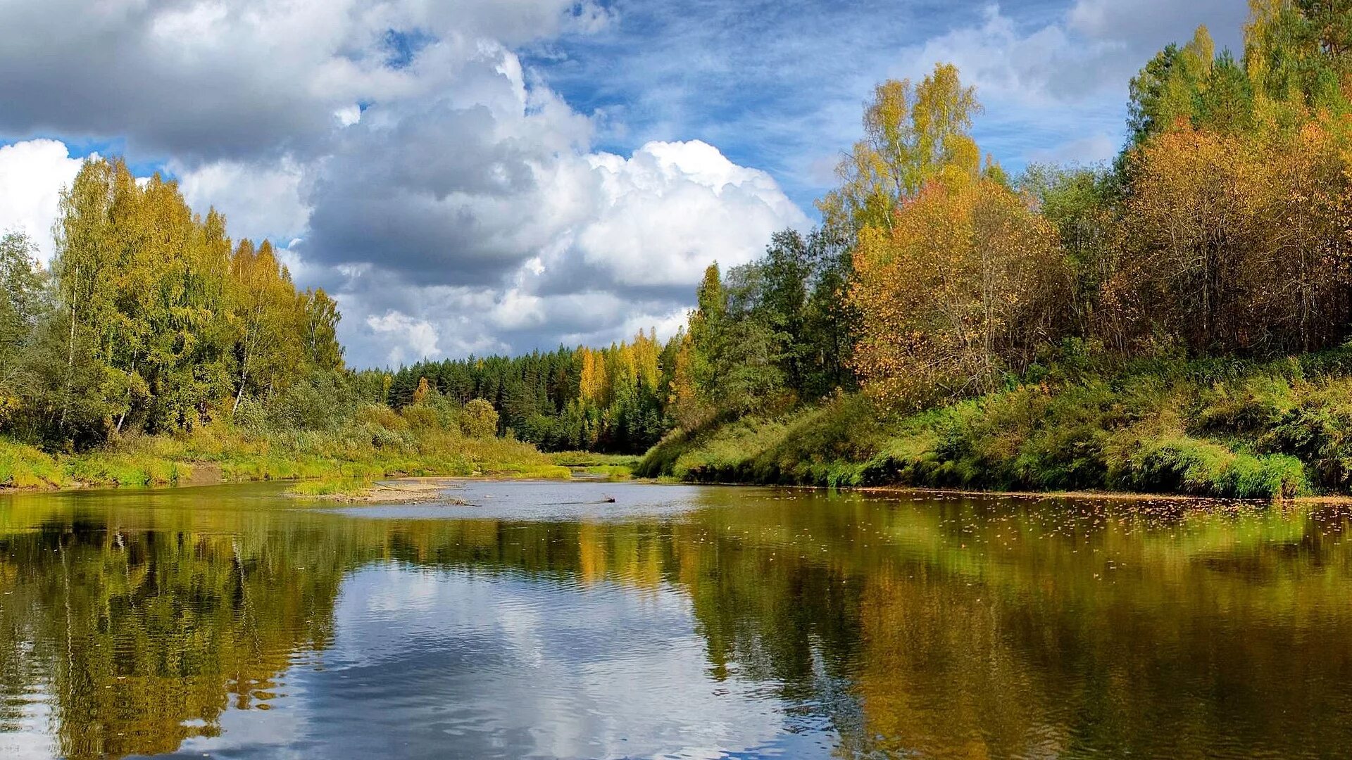 Реки россии осенью. Лесные озёра средней полосы России. Река Тулва осень. Руза река лес. Река Тулва Пермский край.