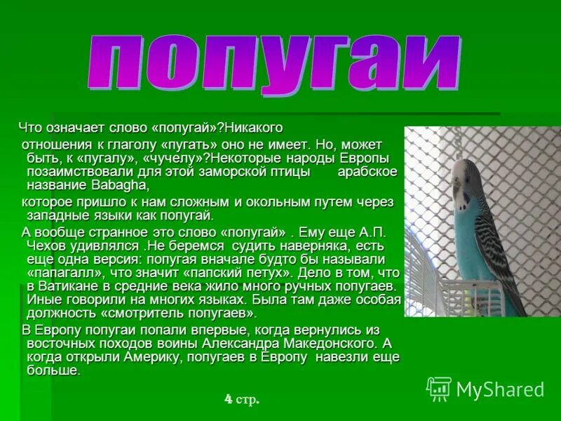 фразеологизм попасть впросак. попасться на удочку фразеологизм. рассказ попались на удочку. фразеологизм попасть впросак. попасть впросак.