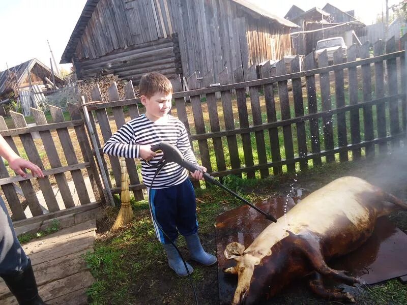 Деревня для детей развлечение. Развлечения в деревне. Сельские развлечения. Деревенские аттракционы. Сельское развлечение