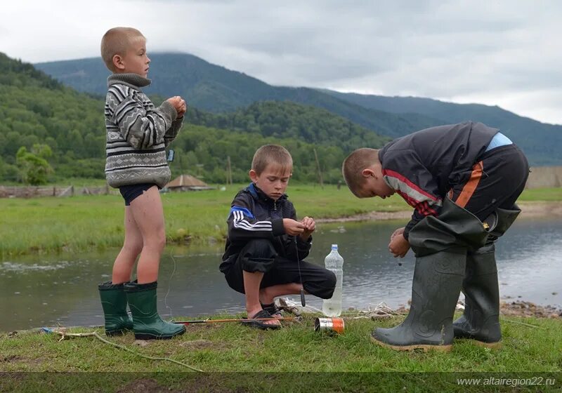 Лучшие натуралисты. Тимоти тредуэлл натуралист. Фотограф фотографирует природу. Любопытство животных. Лучшие натуралисты.