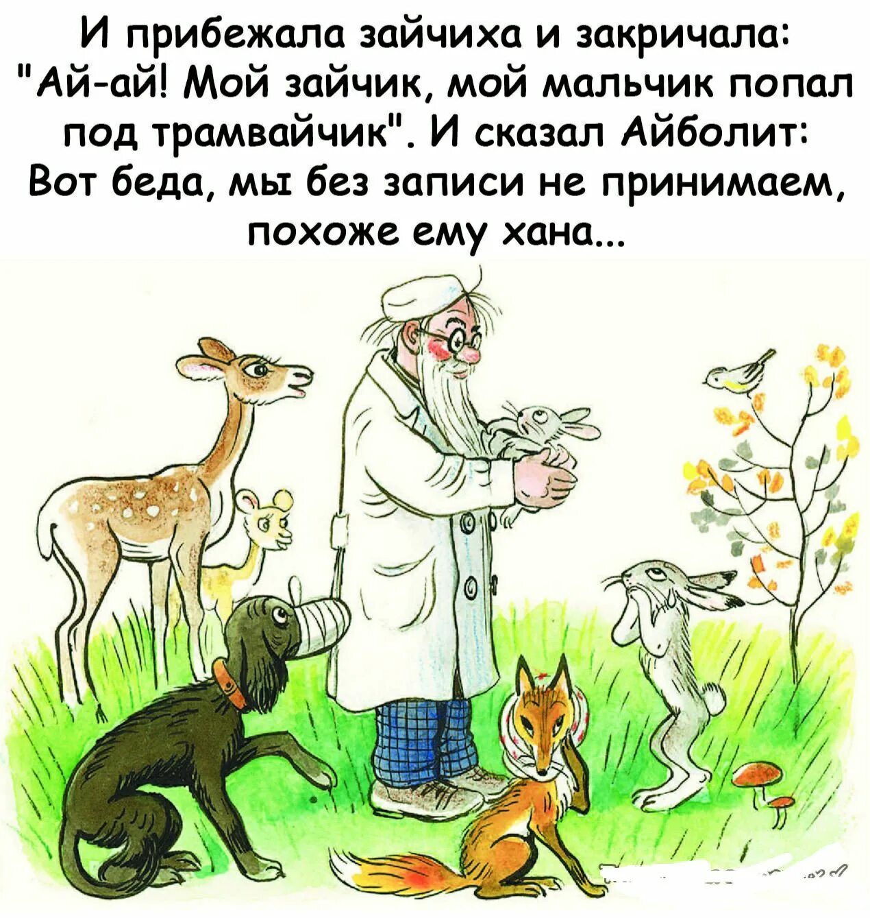 Не приняли без записи
