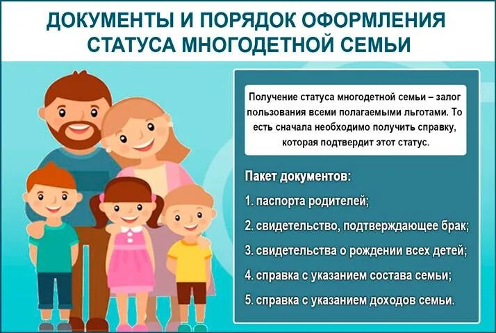 Статус многодетной семьи установлен