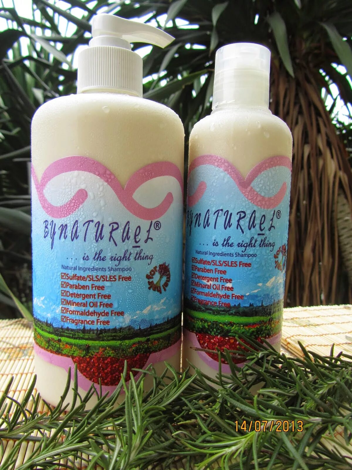 Natural shampoo. Natural ingredients шампунь. Nature Shampoo. SLS В шампуне. Shampoo with natural ingredients.