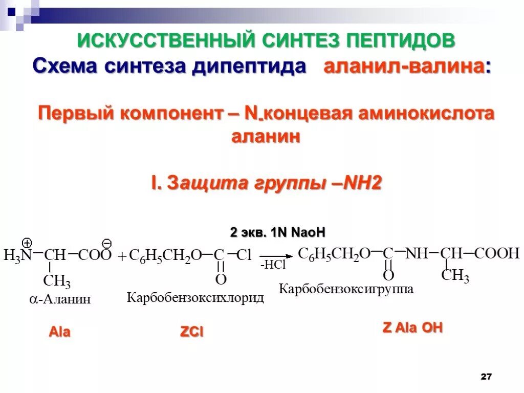 Служит матрицей при синтезе полипептидов. Искусственный Синтез пептидов. Схема синтеза пептидов. Схема реакции синтеза трипептида. Синтез дипептида.