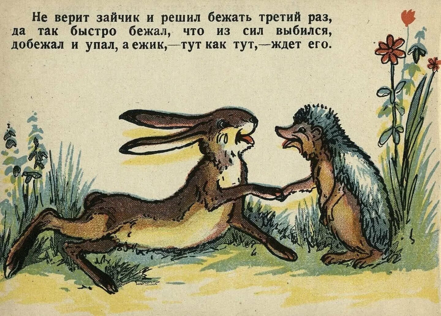 Тут погоня и еж