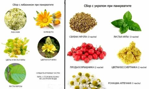 Какие овощи для поджелудочной железы