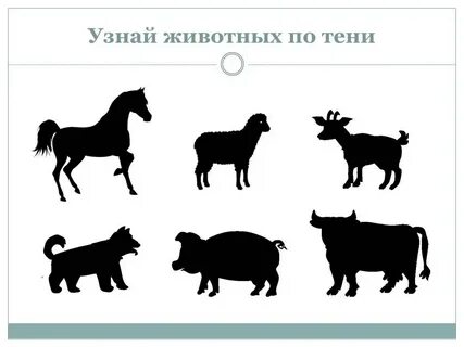 Игра найди тень животного