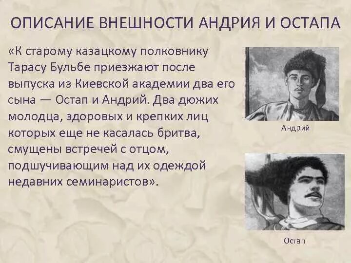 Сравнения в тарасе бульбе. Внешний облик Андрия в повести Тарас Бульба. Внешность портрет Остапа и Андрия таблица.