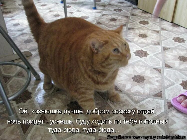 Хожу по квартире туда сюда. Я не хочу ничего решать я хочу на ручки. Шутки первым в квартиру входит кот. Сюда не ходи туда ходи снег башка попадёт. Деньги туда сюда.