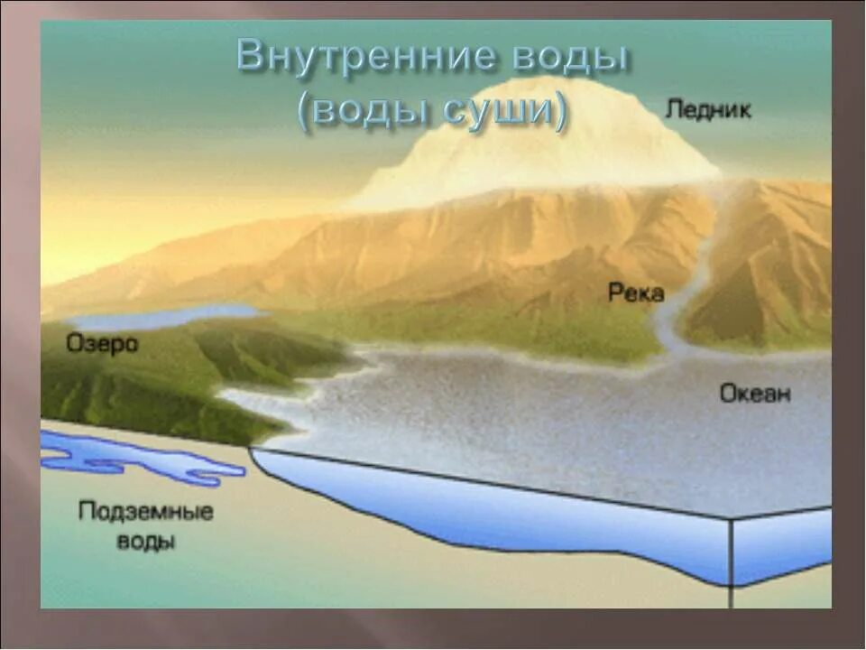 Внутренние воды. Внутренние воды суши. Внутренние воды схема. Что такое внутренние воды по географии. Размер внутренних вод