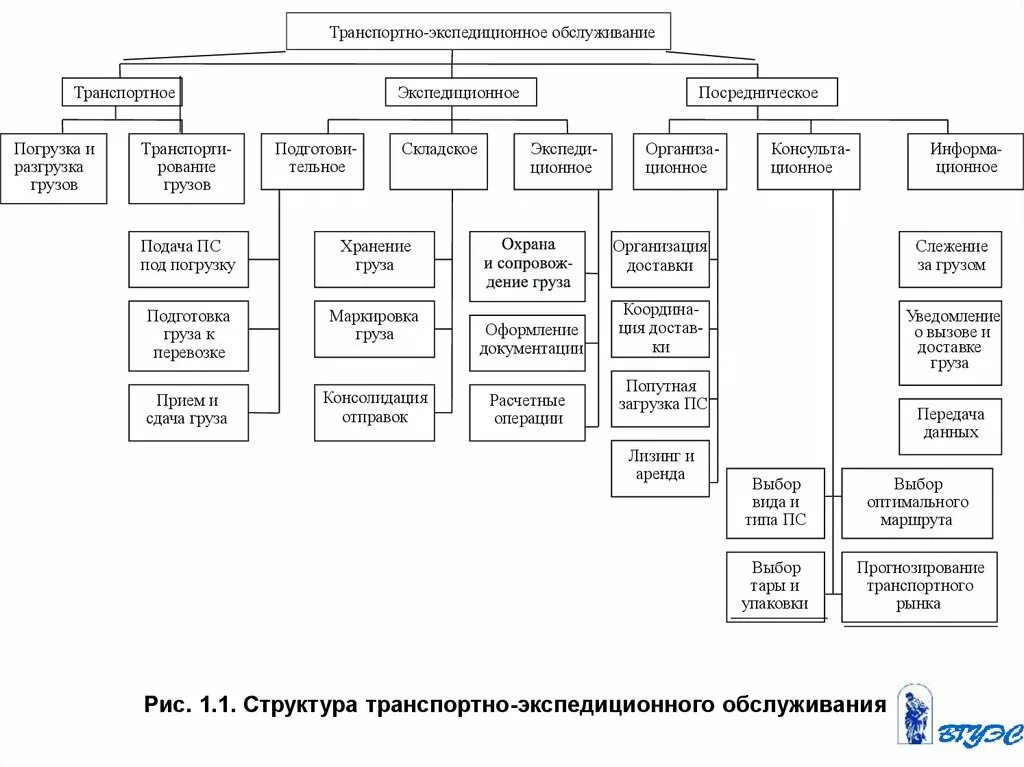 Транспортное предприятие эффективность. Рис. 1.1. Структура транспортно-экспедиционного обслуживания. Организационная структура транспортной компании схема. Организационная структура экспедиторской компании схема. Структурная схема предприятия грузоперевозок.