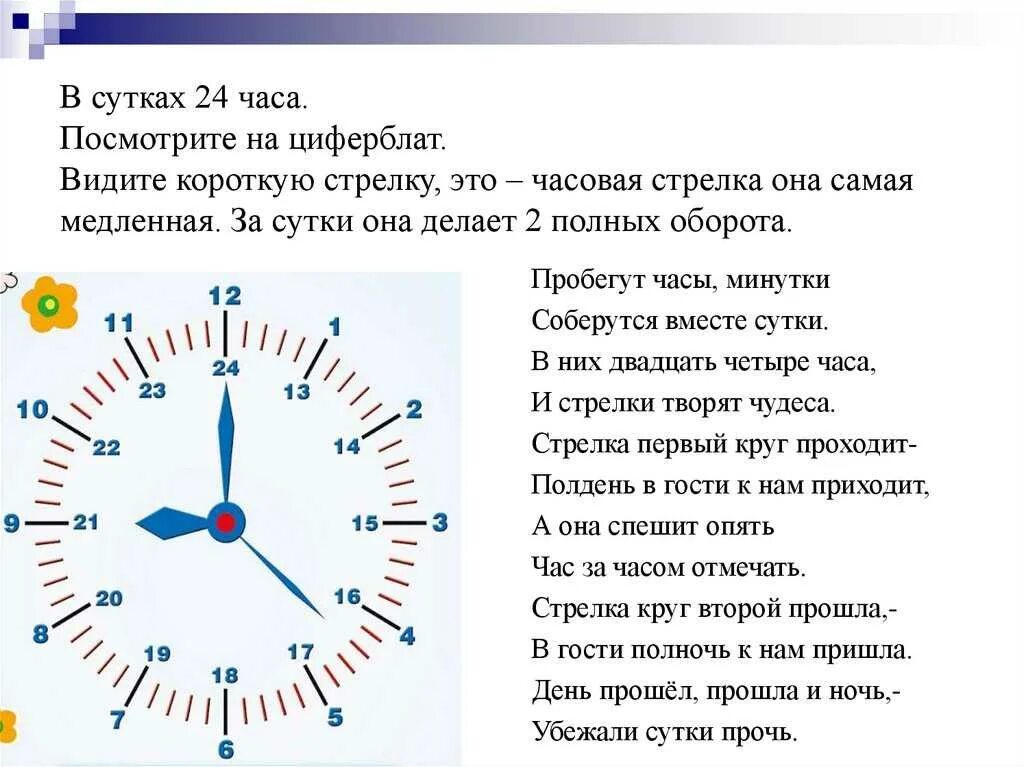 Почему в часах 12. Часы по часовой стрелке. Сутки по часам. Движение часовой стрелки. 24 Часа в сутки.