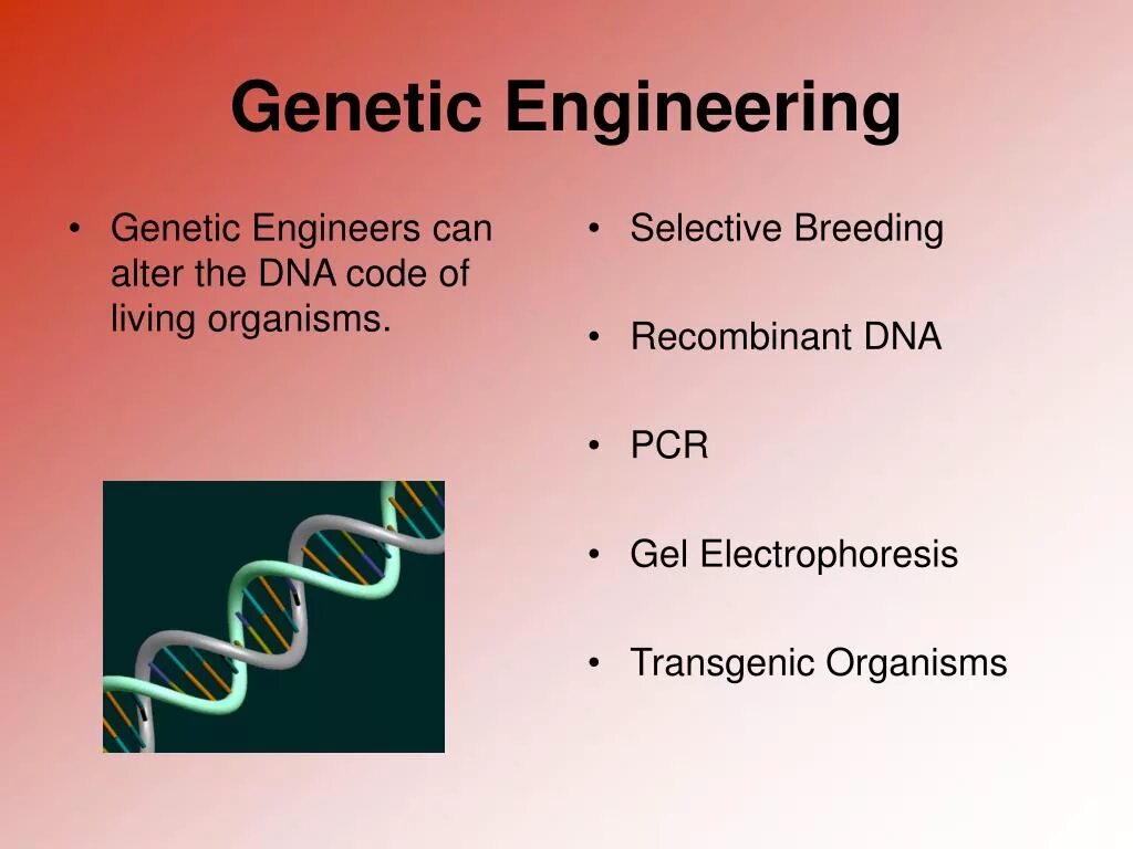 Methods engineer. Genetic Engineering. What is genetic Engineering. Genetic Engineering process. Methods of genetic Engineering.