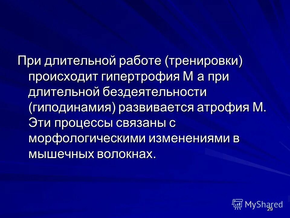 Факторы гипертрофии скелетных мышц. Сколько делать повторений. Фи-3-киназный путь. Гипертрофия скелетных мышц. Упражнения на гипертрофию мышц.