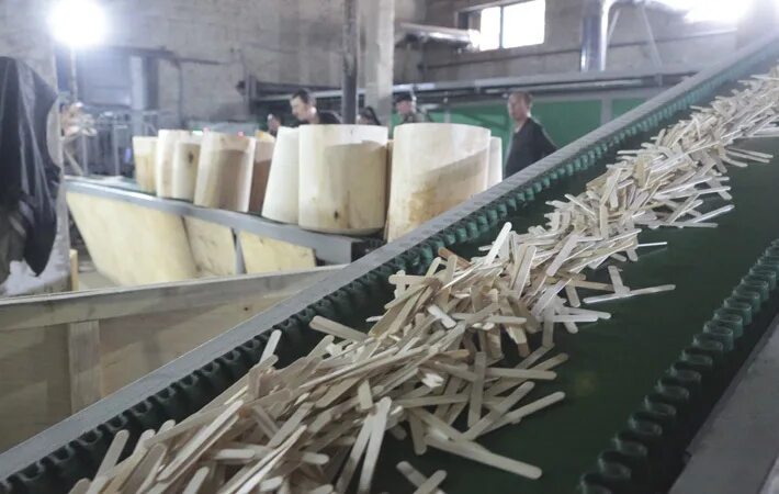 деревня пузыренки котельнич. палка завод есть. палочки березы. станок для сортировки палочек для мороженого. завод палочки для мороженого.