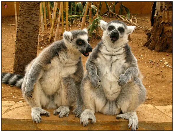 ничего не ломать. хорошо идите говорю я им. туда где ждут хочется возвращаться. иди домой прикол. мудрые мысли.