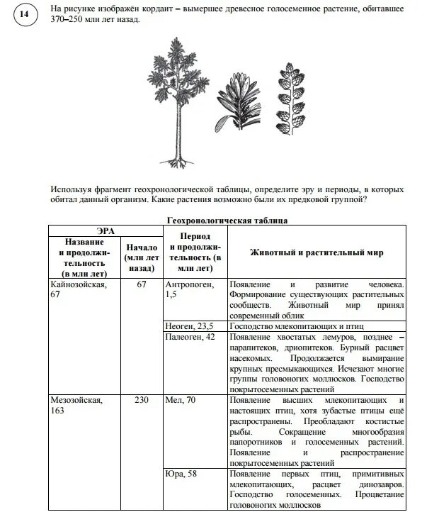 впр по биологии 11 класс 2019 с ответами 20 вариант ответы. таблица исчезающие растения. впр по биологии 11 класс 2021. впр биология 5 класс вариант 2 2021. впр биология 11 класс.