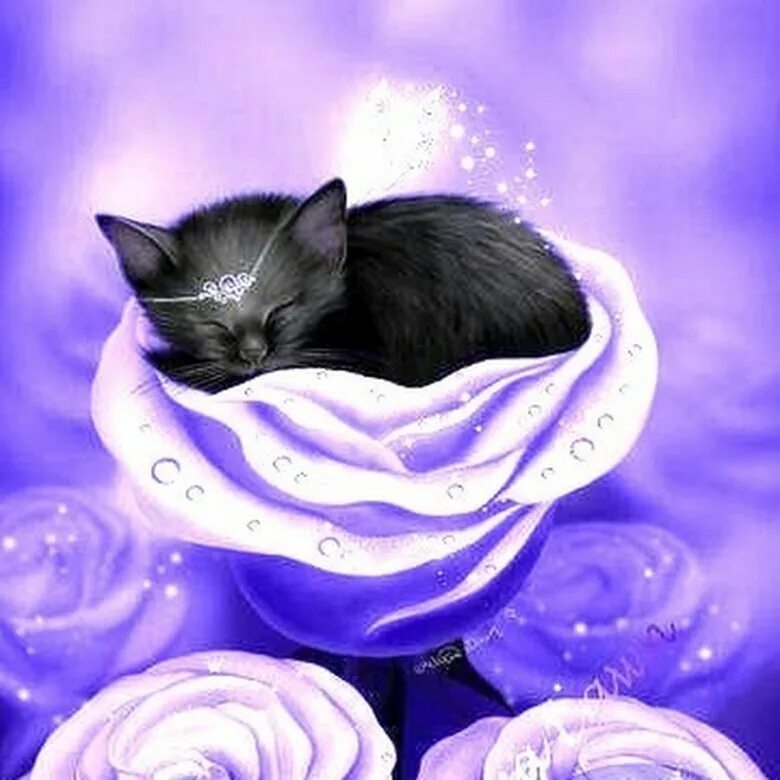 Фиолетовый котенок. Фиолетовая кошка. Котик с розой. Красивая фиолетовая кошка. Черно розовую кошку
