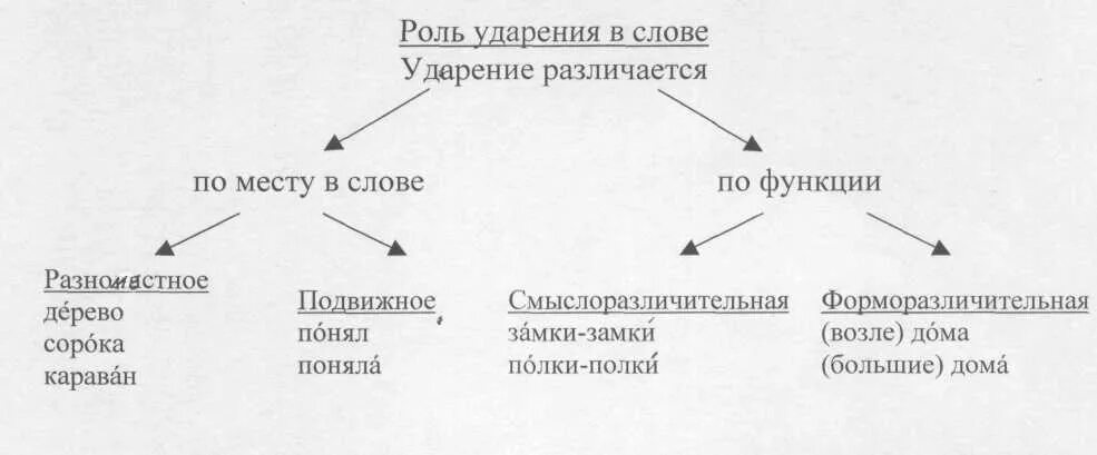 Основная роль слова. Функции русского ударения. Функции словесного ударения. Виды русского ударения. Роль ударения в русском языке.