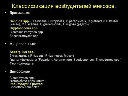 Возбудители микозов