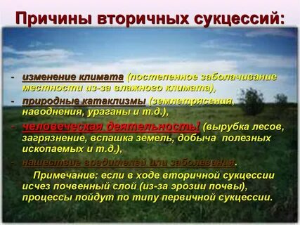 Сукцессия агроценоза