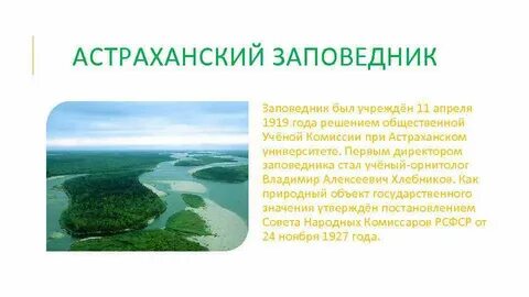 Экосистема астраханского заповедника