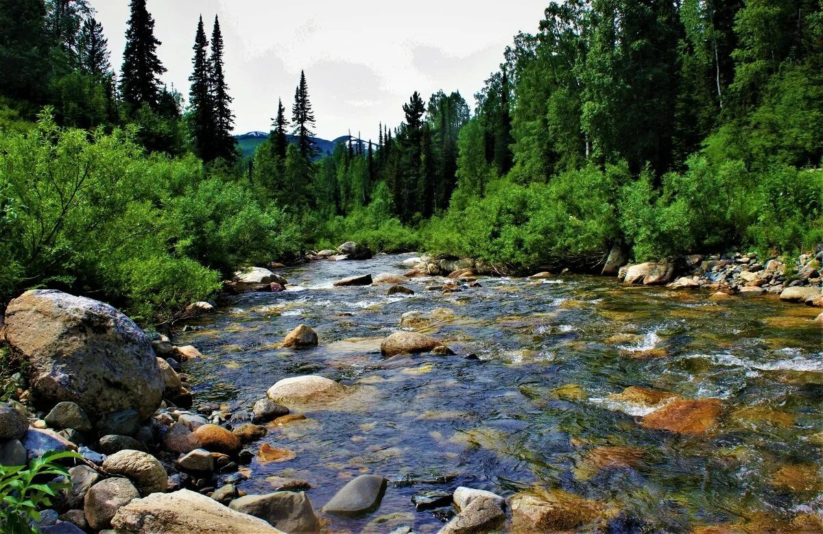 река кизир. горный алтай горные ручьи. река кантегир. источники питания рек. северный кавказ главная река.