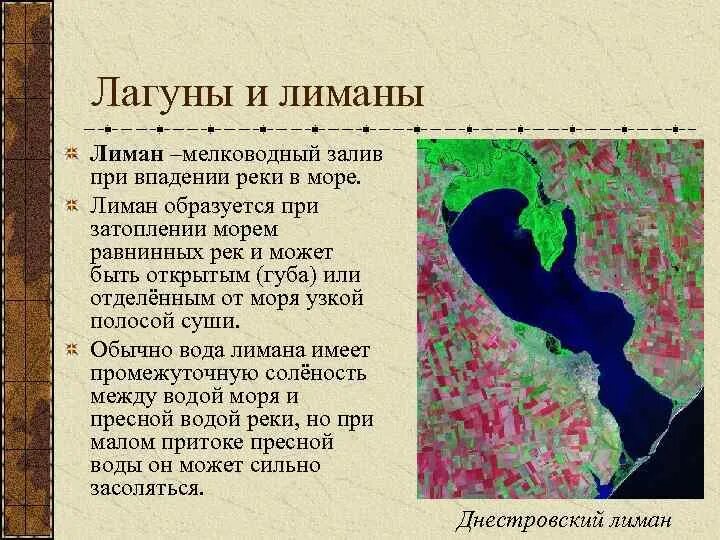 Функции устьев