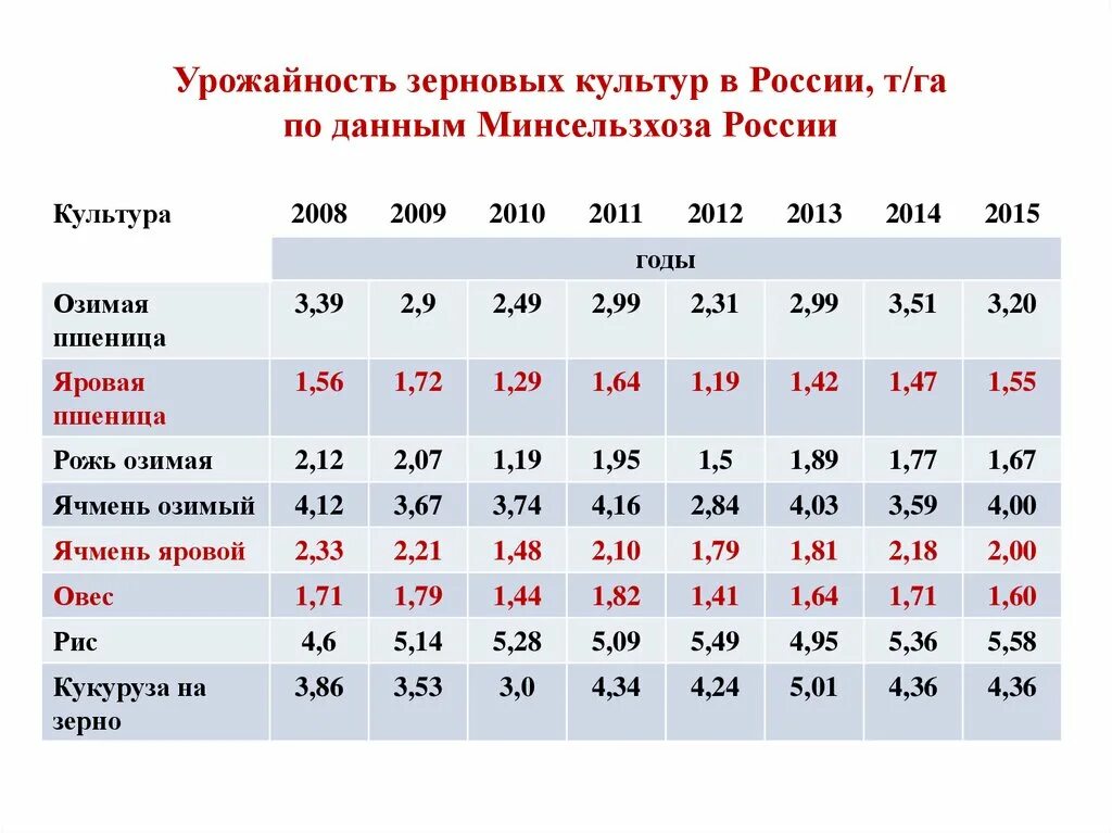 Средняя урожайность зерновых культур в России. Средняя урожайность зерновых в России. Урожайность зерновых культур с 1 га. Средняя урожайность пшеницы. Какова урожайность пшеницы