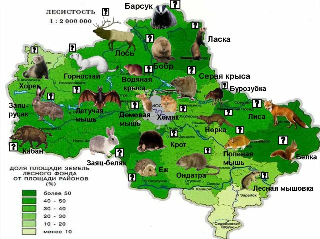 Карта растений московской области. Карта обитания животных Московской области. Карта Московской области с животными. Животный мир Московской области карта. Животные Подмосковья карта.