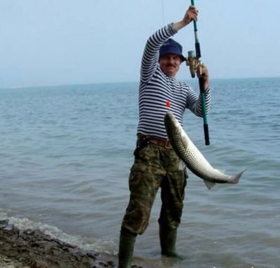 Ловля спиннингом черное море. Рыбалка на пеленгаса Азовское море. Пеленгас в Азовском море. Рыба Азовского моря пеленгас. Пеленгас в Азовском море рыбалка.