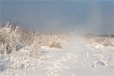 Завируха метель завируха