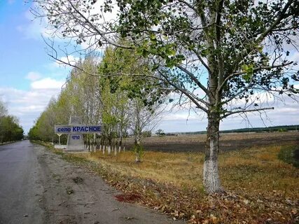 Погода в ярках новохоперский