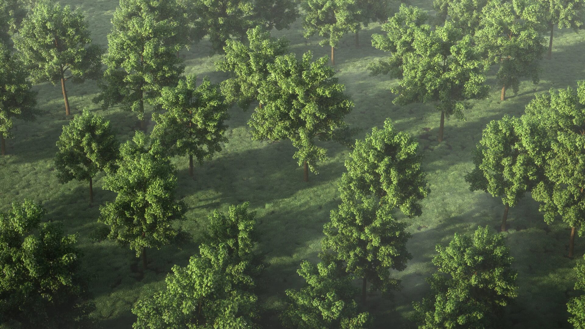 Tree array