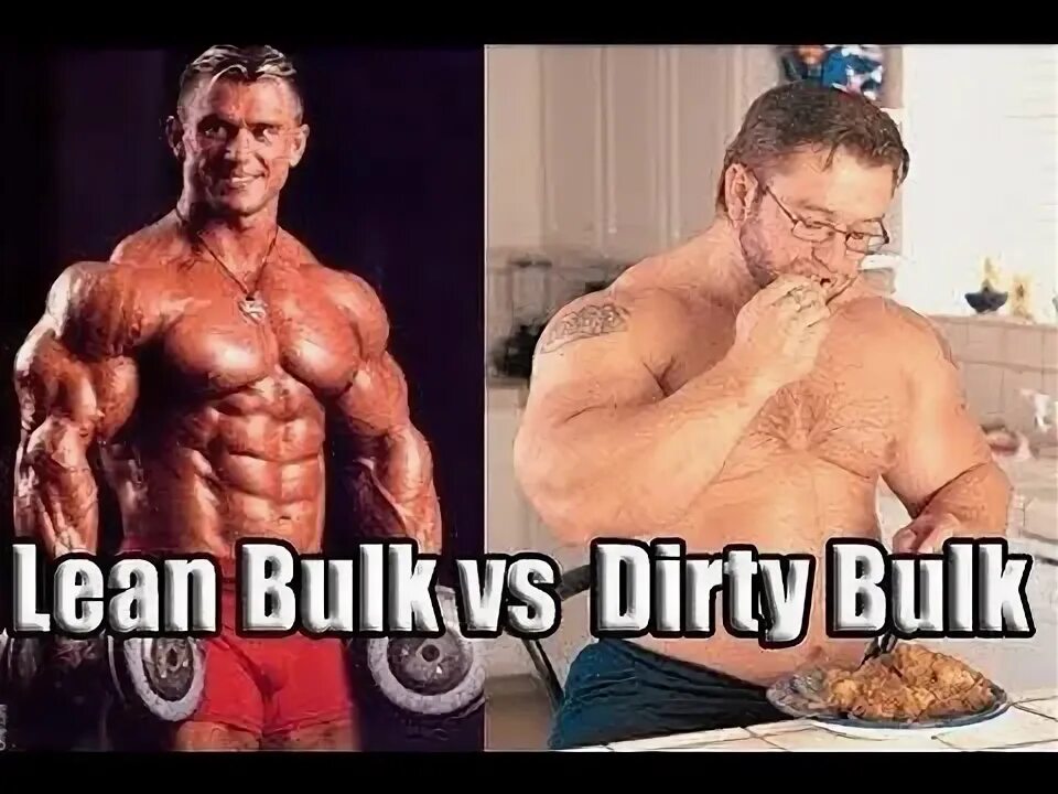 Bulk price. Dirty bulk. bulk vs lean. clean bulk guys. bulk sport.