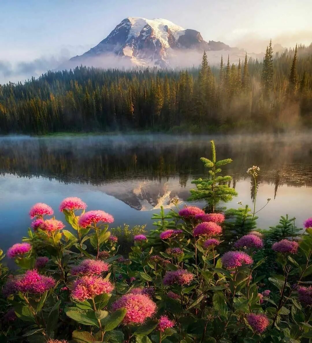 Волшебные пейзажи захватывающие. Исландия ландшафт. Спокойные горы. Человек на горе. Прекрасный мир природы.