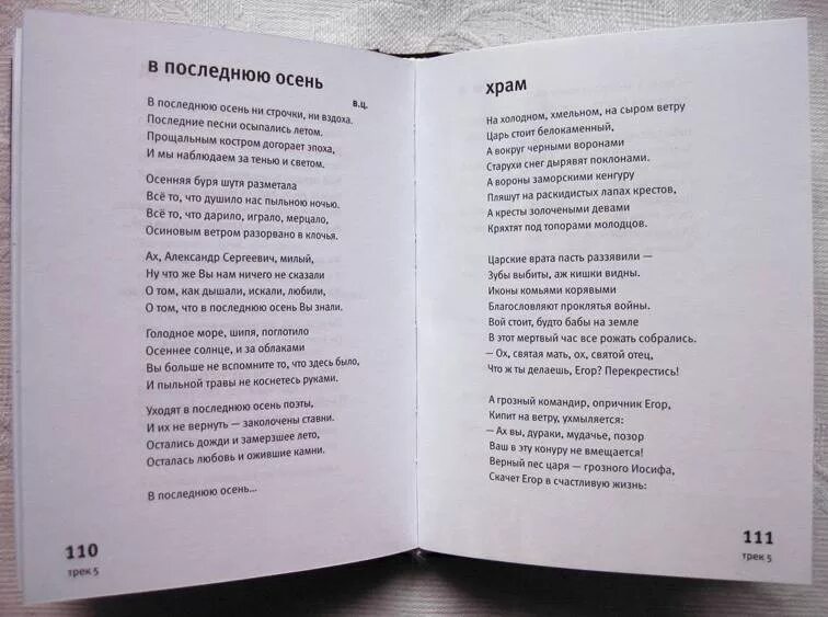 Последняя осень ДДТ текст. Стихи Юрия Шевчука. В последнюю осень текст. Шевчук Родина слова.