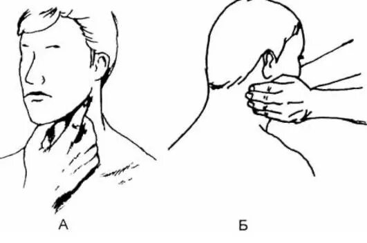 пальпация глубоких шейных лимфатических узлов. пальпация лимфатических узлов чло. пальпация подчелюстных лимфоузлов алгоритм. как прощупать лимфоузлы. как прощупать лимфоузлы.