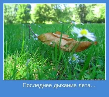 Последнее лето цитаты