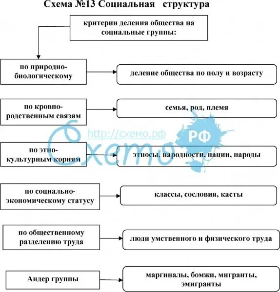 Логическая схема: «социальная структура общества». Социальная структура схема общество 11. Социальная структура общества схема по истории. Социальная структура современного российского общества схема 6 класс. Таблица социальная структура общества 8 класс история