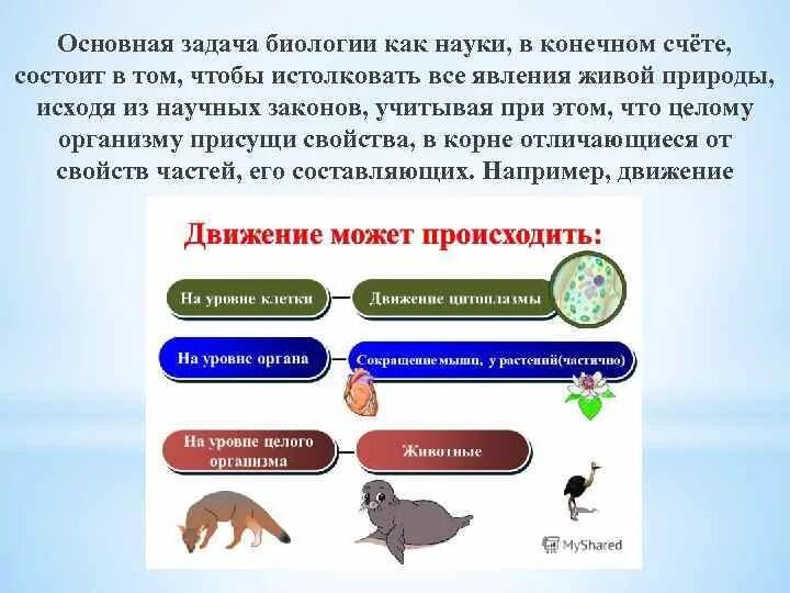 Решение задач по биологии 11 класс. Основная задача биологии. Биология как наука, её задачи.. Задачи биологии как науки. Наука биология и её задачи..